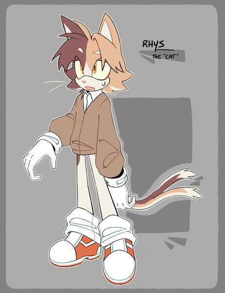 EXAMPLE: Sonic OC